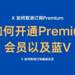 X 订阅 Premium / X 如何开通会员蓝V / X 如何取消订阅Premium-布拉博客