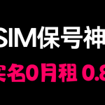 仅需0.82元即可保号一年，能无限续期的保号卡，还能国内漫游，丨免实名丨无月租丨eSIM丨保号卡-布拉博客